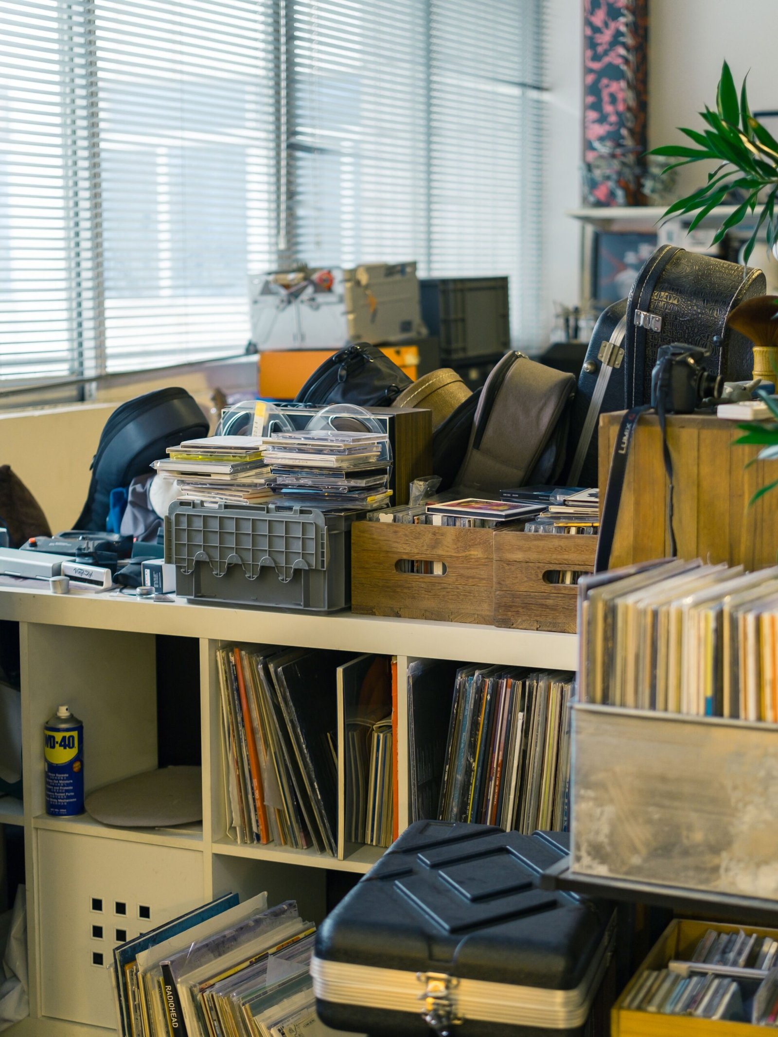 A cozy indoor space with shelves filled with vinyl records and retro items, creating a nostalgic atmosphere.